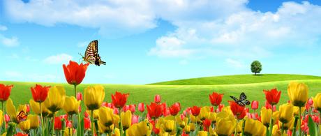 Songe a 9 ans ! Depuis quand connaissez-vous le webzine ?