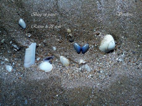 C'est lundi, que lisez-vous? #161