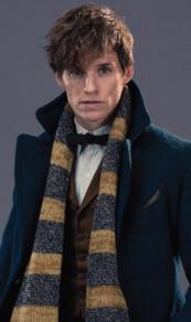 J.K. Rowling’s Wizarding World –  The Dark Arts: A Movie Scrapbook