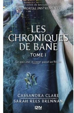 #91 Les Chroniques de Magnus Banes - Tome 1 : Ce qui s'est vraiment passé au Pérou