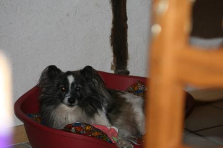 Défi 124 : la vérité crée des liens – le dénouement