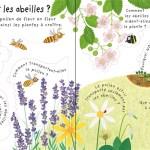 Katie Daynes / Pourquoi a-t-on besoin des abeilles?