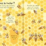 Katie Daynes / Pourquoi a-t-on besoin des abeilles?