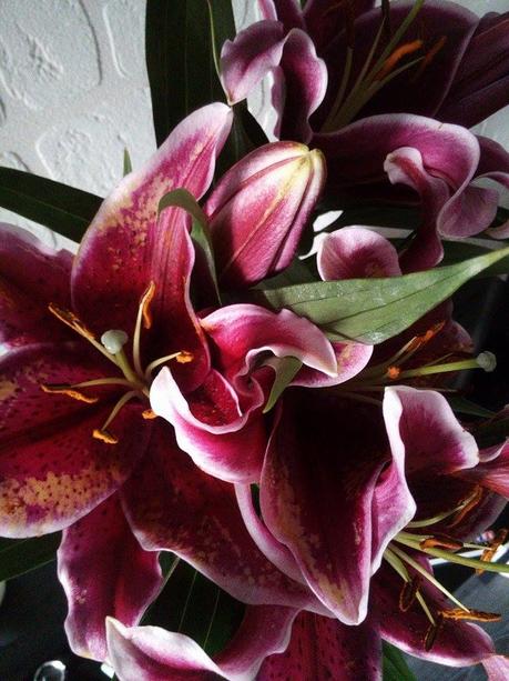 C'est le 1er... je balance tout ! # 8 - Septembre 2017