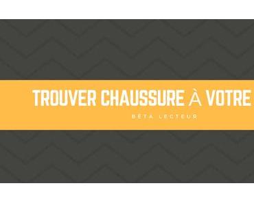 Auteurs en recherche de bêta-lecteurs