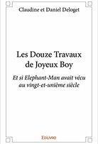 Les Douze Travaux de Joyeux Boy