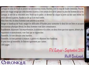 Blessures muettes – F.V. Estyer