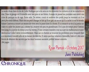 Ici et ailleurs #2 – Venu de nulle part – Roan Parrish