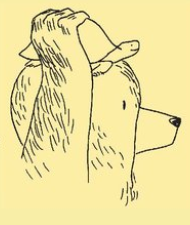 Le vaste monde selon Björn, ours bienheureux