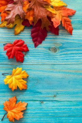 [Humeur]: Hello Autumn : Projets & bilan