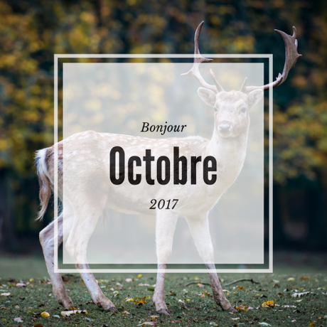 Bilan Septembre 2017