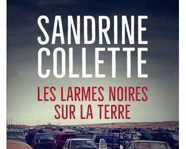Chronique : Les Larmes noires sur la terre - Sandrine Collette (Denoel)