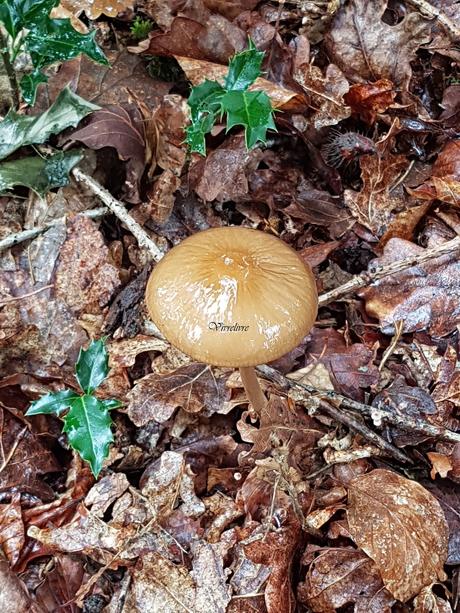 Récapitulatif de lectures de vacances - Août 2017