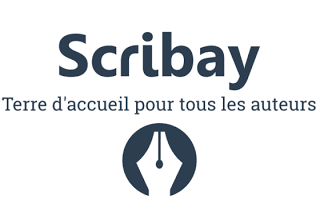 J'ai testé la version Premium de Scribay