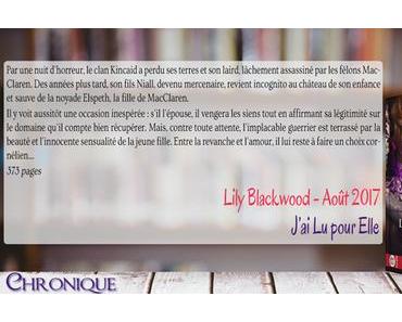 Les frères Kincaid #1 – Le Mercenaire – Lily Blackwood