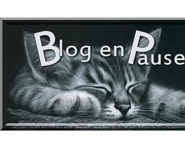 Blog en pause