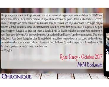 Déploie tes ailes #4 – Cœur rebelle – Rose Darcy