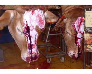 Et le verbe s’est fait chair