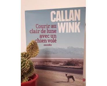 Courir au clair de lune avec un chien volé - Callan Wink