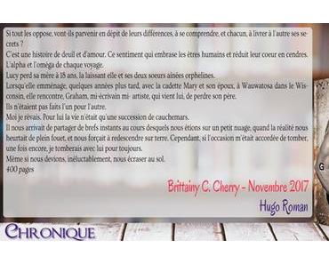 The Elements #4 – The Gravity of us – Brittainy C. Cherry