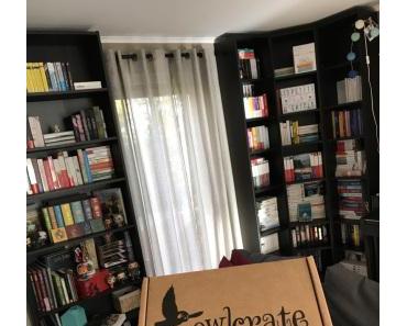 Unboxing Owlcrate – CASTLES, COURTS & KINGDOMS!