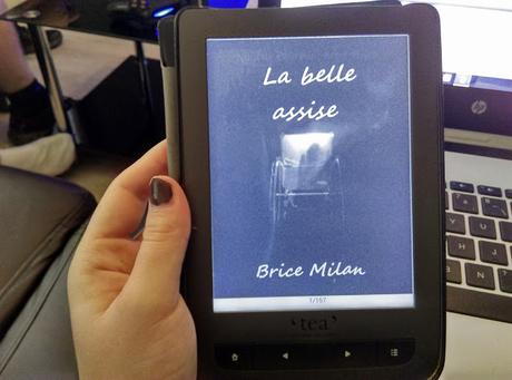 La belle assise, Brice Milan