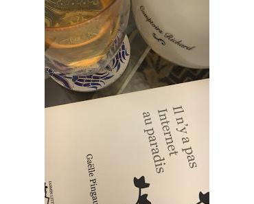 Il n'y a pas Internet au paradis, Gaëlle Pingault