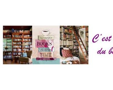 Lectures de novembre 2017