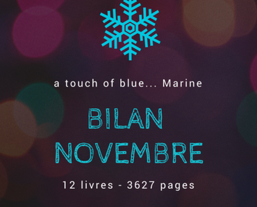 [Bilan mensuel] • Novembre • 2017/11