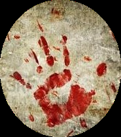 Affaire n°345: "Leçons d'un tueur" de Saul Black.