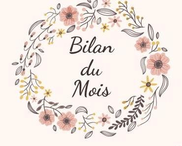 Bilan du mois de novembre