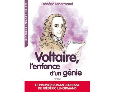 Voltaire, l'enfance d'un génie