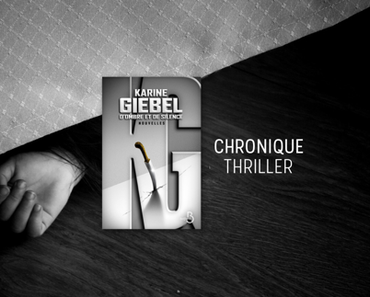 D'ombre et de silence - Karine Giebel