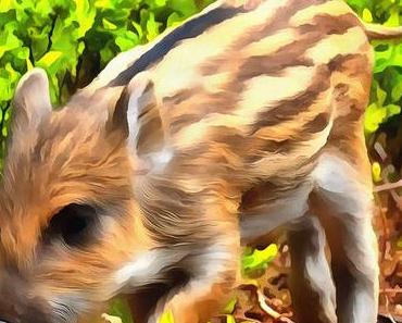 Entendre le monde - nouvelle de Jean-Louis BOUZOU