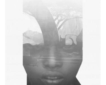 "Ce sont des gamins qui ont fui leur pays, ont mis en danger leur famille et leur propre vie pour échapper à l'esclavage (...) Comment pourraient-ils, une fois en France, poignarder un compatriote exilé ? C'est n'importe quoi !"