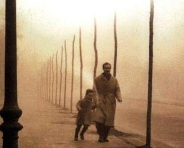 L'ombre du vent. Carlos RUIZ ZAFON - 2009