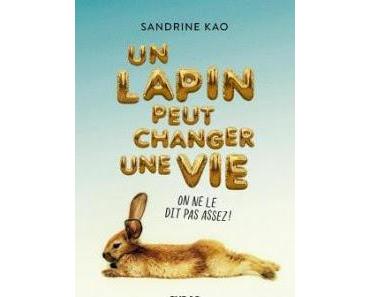 Un lapin peut changer une vie de Sandrine Kao