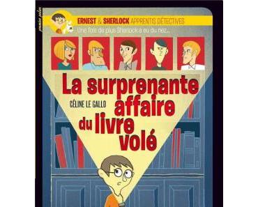 La surprenante affaire du livre volé