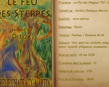 Le Feu des Steppes T10 - Dieux - Aurélie Chateaux-Martin