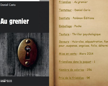 Au grenier - Daniel Cario