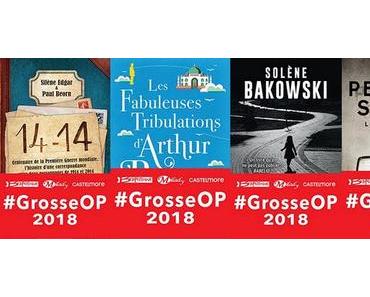 Sélection ebooks à 0.99€ -  Jour 2 #GrosseOp 2018