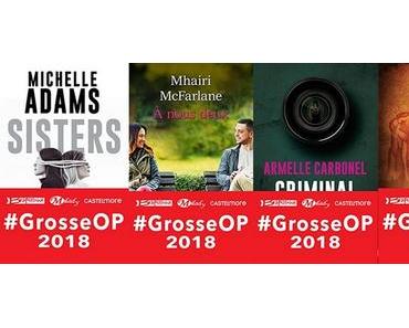 Sélection ebooks à 0.99€ -  Jour 5 #GrosseOp 2018
