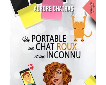 Un portable, un chat roux, un inconnu d’Aurore Chatras