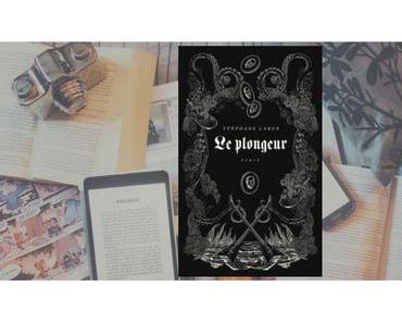 Le plongeur | Stéphane Larue