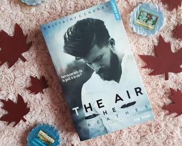 The air he breathes - Brittainy C Cherry