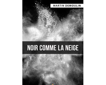 Noir comme la neige, de Martin Demoulin