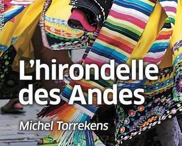 L'hirondelle des Andes   -  Michel Torrekens