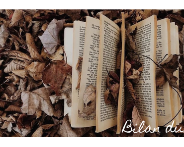 BILAN DU MOIS – Novembre 2019