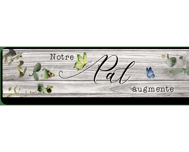 Notre PAL augmente #199