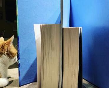 Mon dernier craquage de 2019